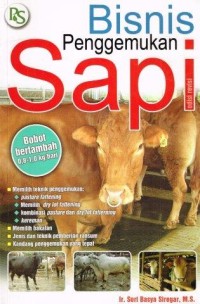 Image of Bisnis Penggemukan Sapi