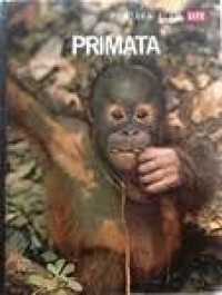 Image of Primata